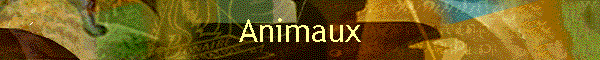 Animaux