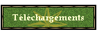 Tlchargements