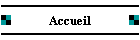 Accueil